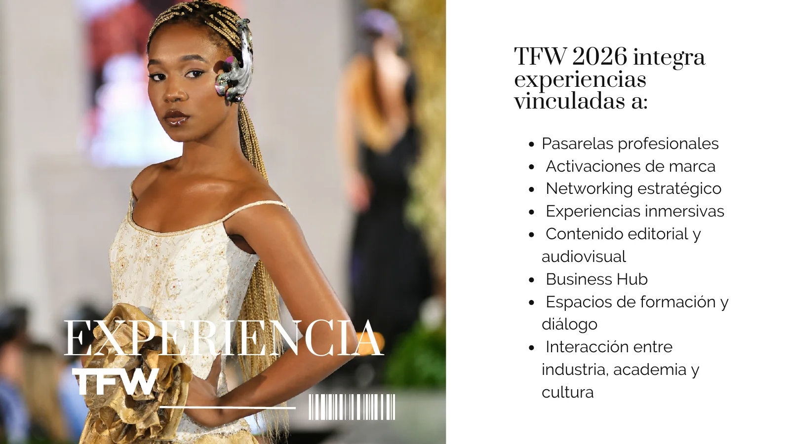 Experiencia de moda, cultura y producción audiovisual